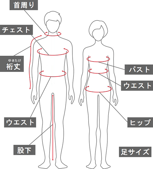 体の寸法表