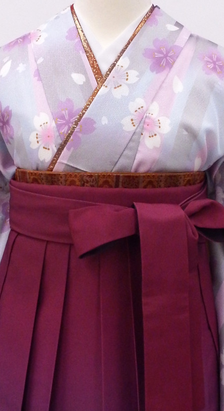 2025--------卒業袴/特別販売/紫たて桜の小振袖/ワイン紫二色